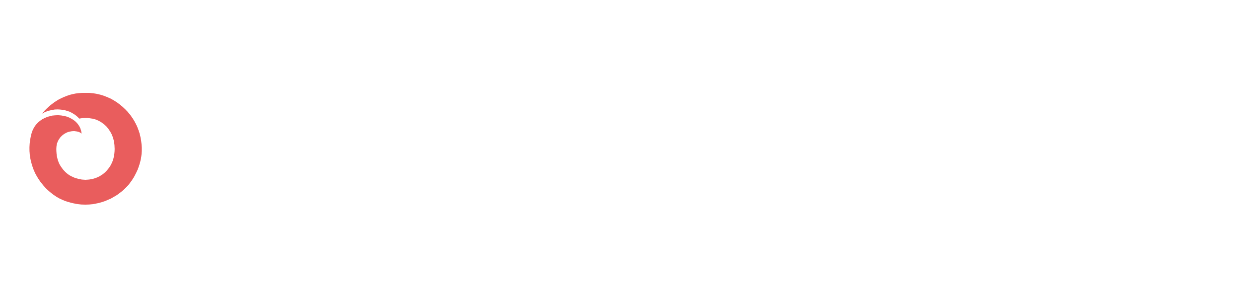 organizasyon.biz